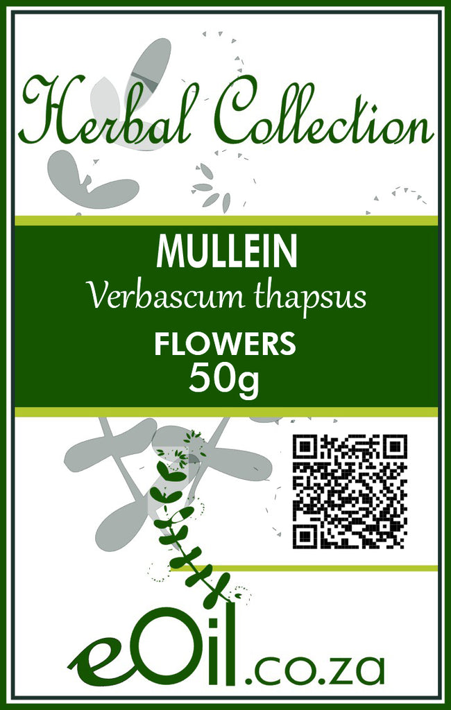 Mullein Flowers Dried - 50 g - Herbal Collection - eOil.co.za