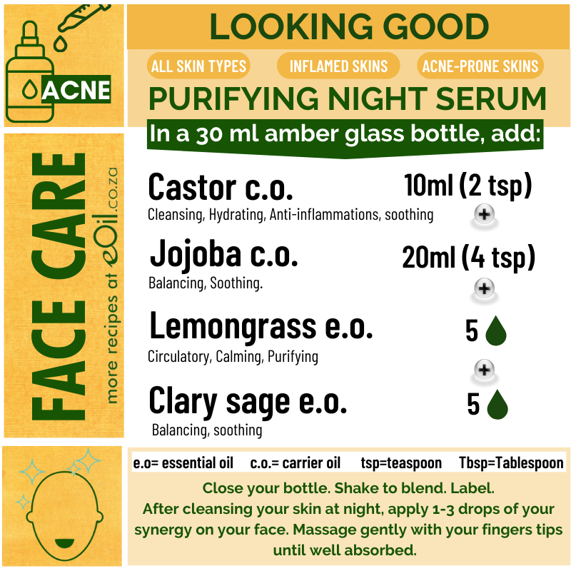 Acne - Recipe Synergy Purifying Night Serum - eOil.co.za