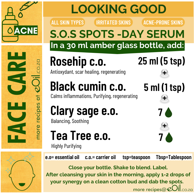 Acne - Recipe Synergy Spots Day Serum - eOil.co.za