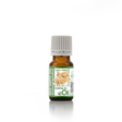 Palo Santo Essential Oil Organic, sacred wood aroma for spiritual ambience
