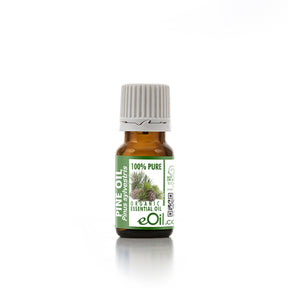 Pine Essential Oil Organic, pure forest pine aroma for diffusion and massage