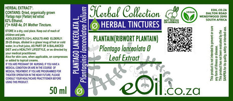 Plantain Tincture ( Plantago major ) - 50 ml - eOil.co.za
