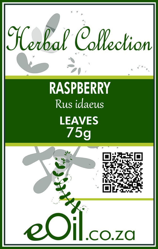 Raspberry Leaves Dried - 75 g - eOil.co.za