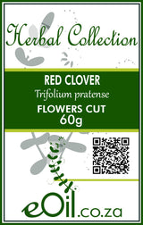 Red Clover Flower cut - 60 g - eOil.co.za