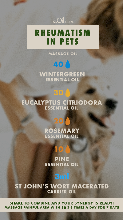 eOil.co.za joint pains for pets. massage oil. Eucalyptus rosemary pine wintergreen st john's wort essential carrier oils