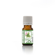 Rose Geranium Essential Oil Organic, soft floral and green note for natural beauty blends