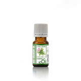 Rose Geranium Essential Oil Organic, soft floral and green note for natural beauty blends