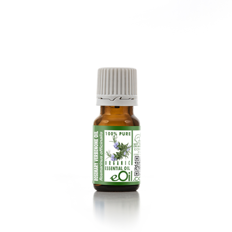 Rosemary Verbenone Organic Essential Oil, fresh herbal note for beauty and wellness