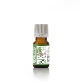 Rosewood Organic Leaf Essential Oil Organic, sweet woody floral aroma for relaxation and perfume