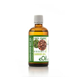 Sandalwood Nut Carrier Oil Organic - eOil.co.za