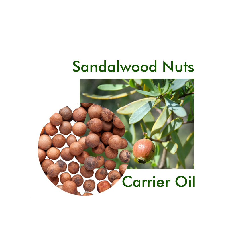 Sandalwood Nut Carrier Oil Organic - eOil.co.za