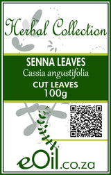 Senna Leaves Dried (Cassia angustifolia) - 100 g - Herbal Collection - eOil.co.za