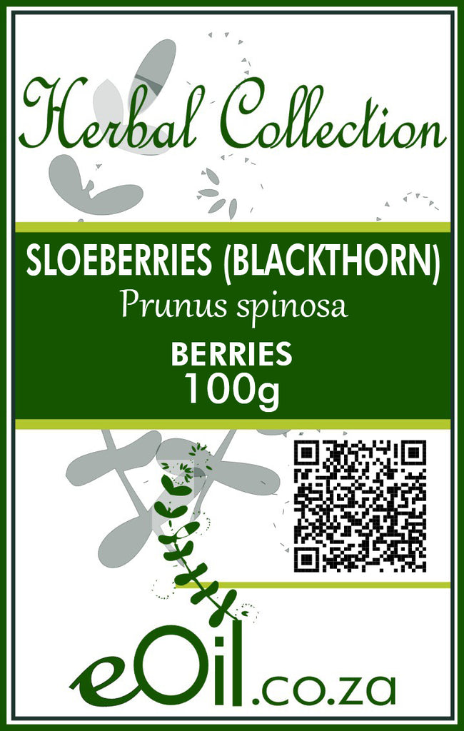 Blackthorn Sloeberries Dried Berries (Prunus spinosa) - 100 g - Herbal Collection - eOil.co.za