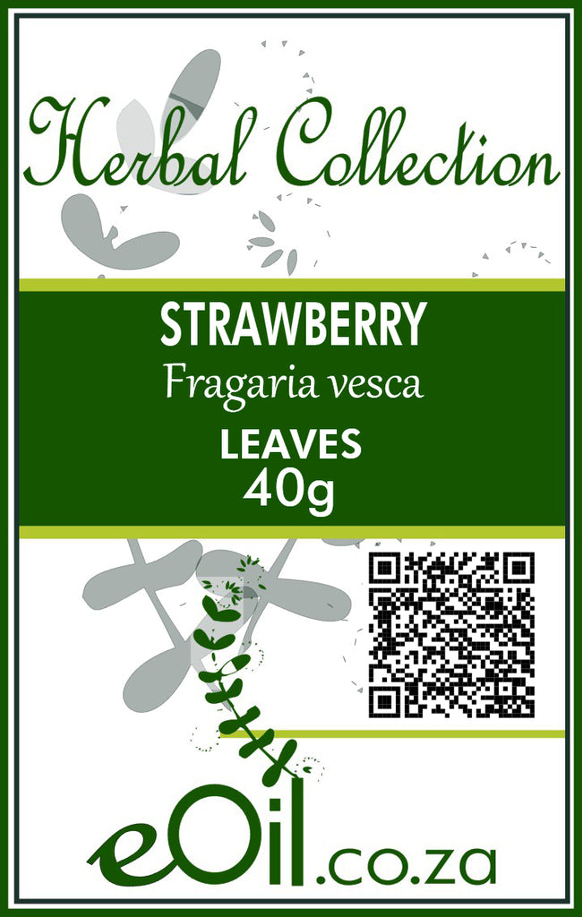 Strawberry Leaves Dried (Fragaria vesca) - 40 g - Herbal Collection - eOil.co.za