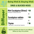 Diffusion Recipe - Blocked Nose, Sinusis - eOil.co.za