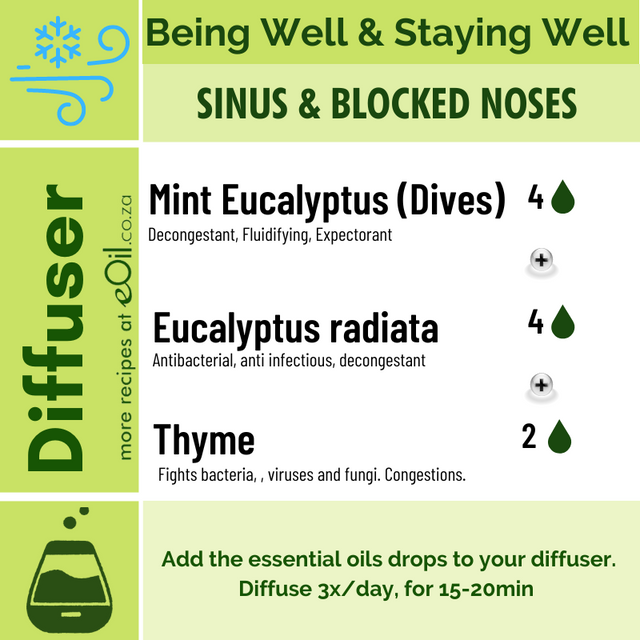 Diffusion Recipe - Blocked Nose, Sinusis - eOil.co.za