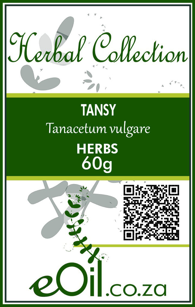 Tansy Herb Dried (Tanacetum vulgare) - 60 g - Herbal Collection - eOil.co.za