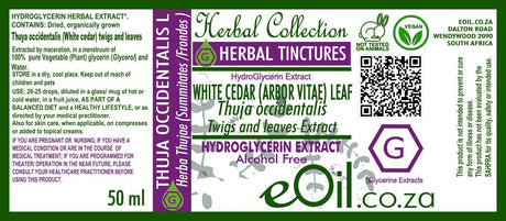 Thuja White Cedar Tincture - Vegetable Glycerine - 50 ml - eOil.co.za
