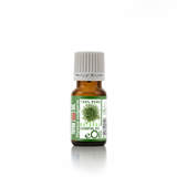 THYME RED NATURAL ESSENTIAL OIL (Thymus vulgaris) 10 ml - eOil.co.za