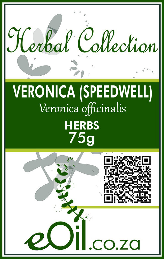 Veronica Speedwell Dried (Veronica officinalis) - 75 g - Herbal Collection - eOil.co.za