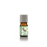 Vanilla Absolute Organic Oil, rich gourmand aroma for perfumes, candles, and mood blends