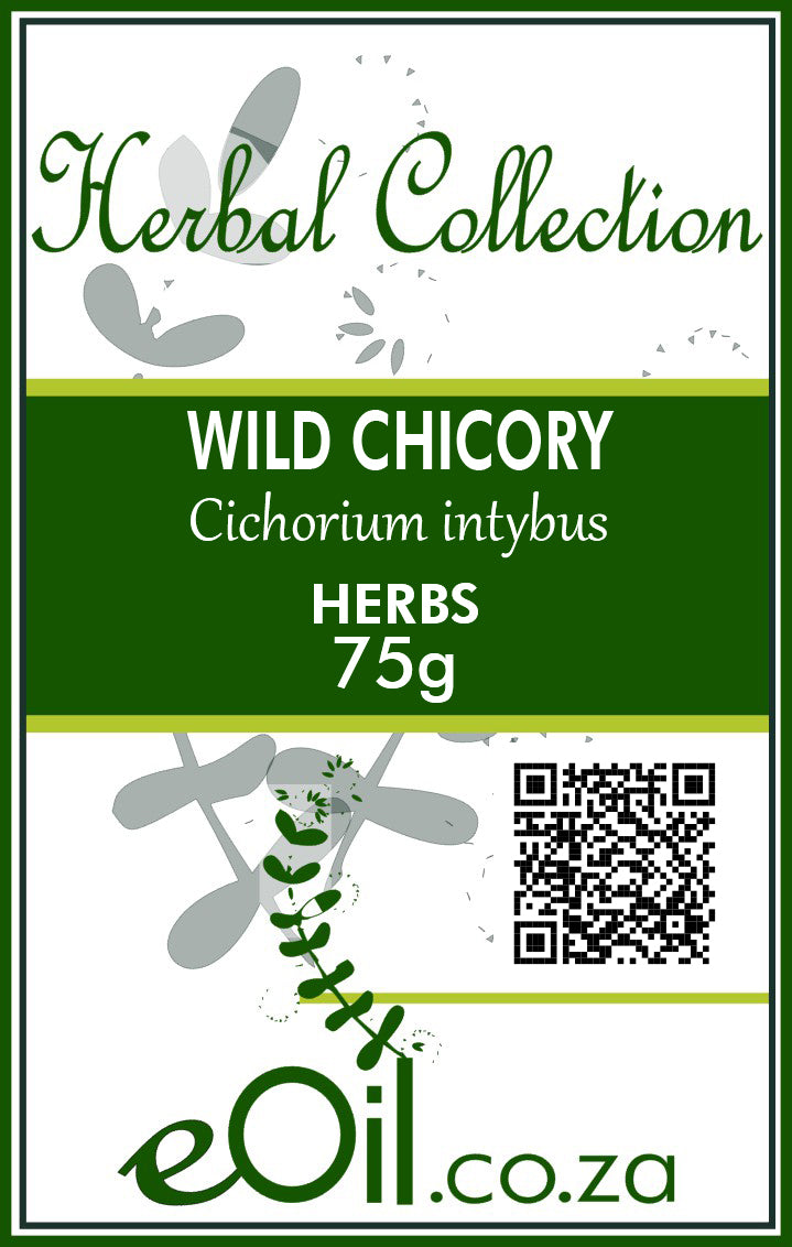 Wild Chicory Herb - 75 g - Herbal Collection - eOil.co.za