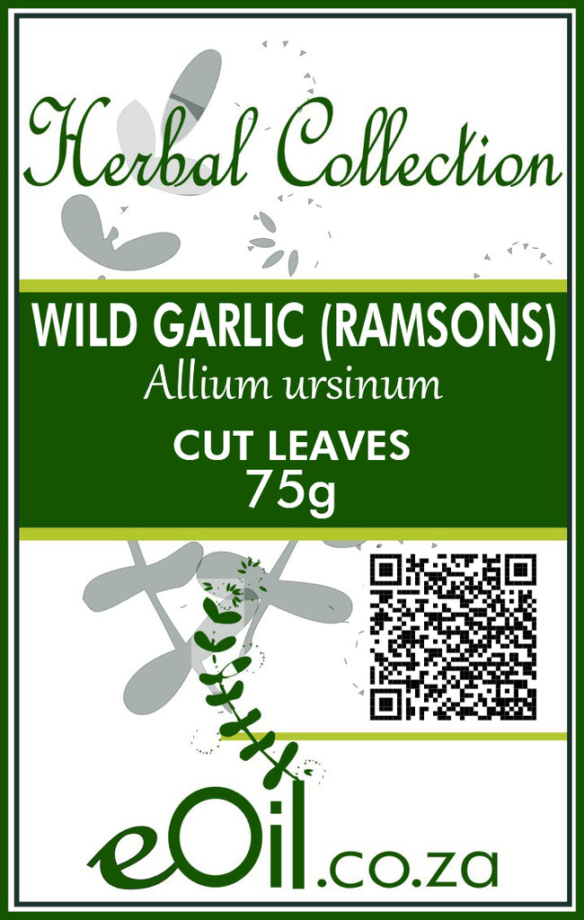 Ramsons / Wild Garlic Cut Leaves - 75 g - Herbal Collection - eOil.co.za