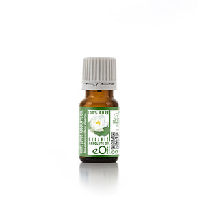 White Lotus Absolute Organic Oil, spiritual aquatic-floral aroma for perfumery and ceremony