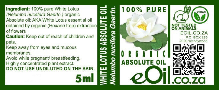 White Lotus Absolute Organic Oil, spiritual aquatic-floral aroma for perfumery and ceremony