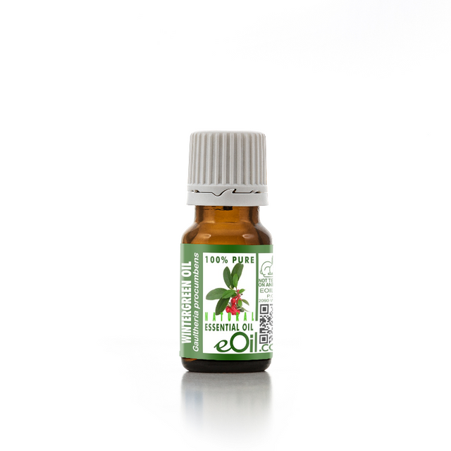 WINTERGREEN NATURAL ESSENTIAL OIL (Gaultheria procumbens) 10 ml - eOil.co.za