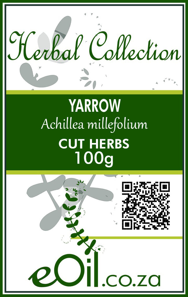Yarrow Herb Cut Dried - 100 g - eOil.co.za