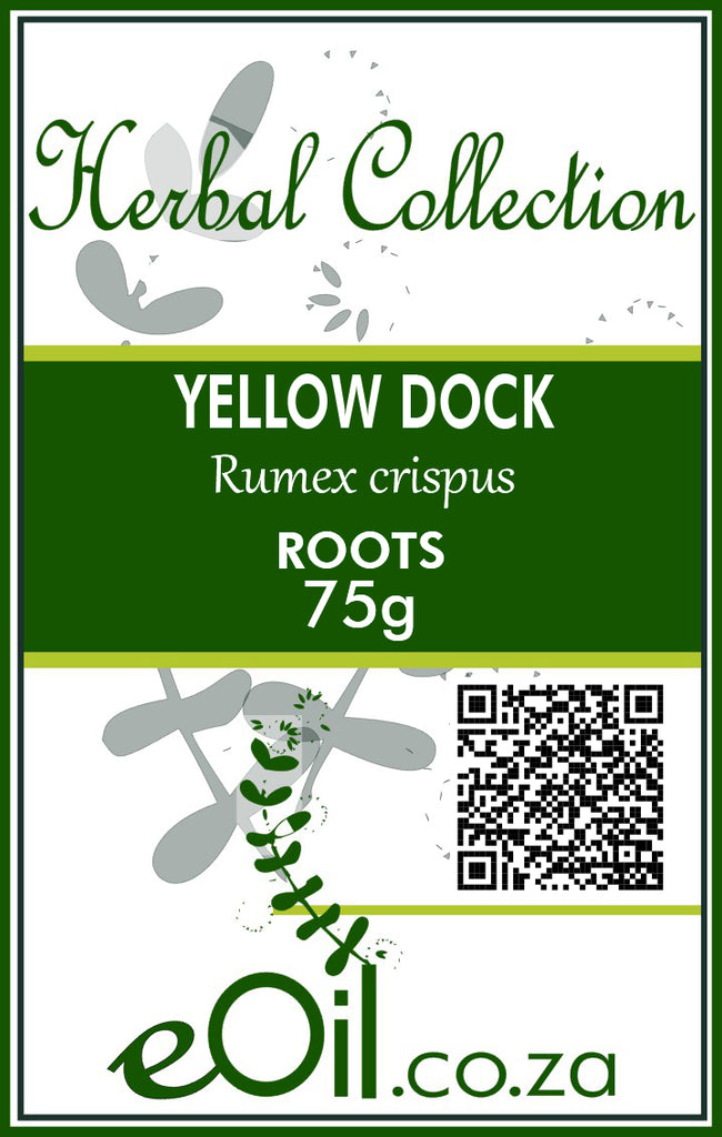 Yellow Dock Dried Root (Rumex crispus) - 75 g - Herbal Collection - eOil.co.za