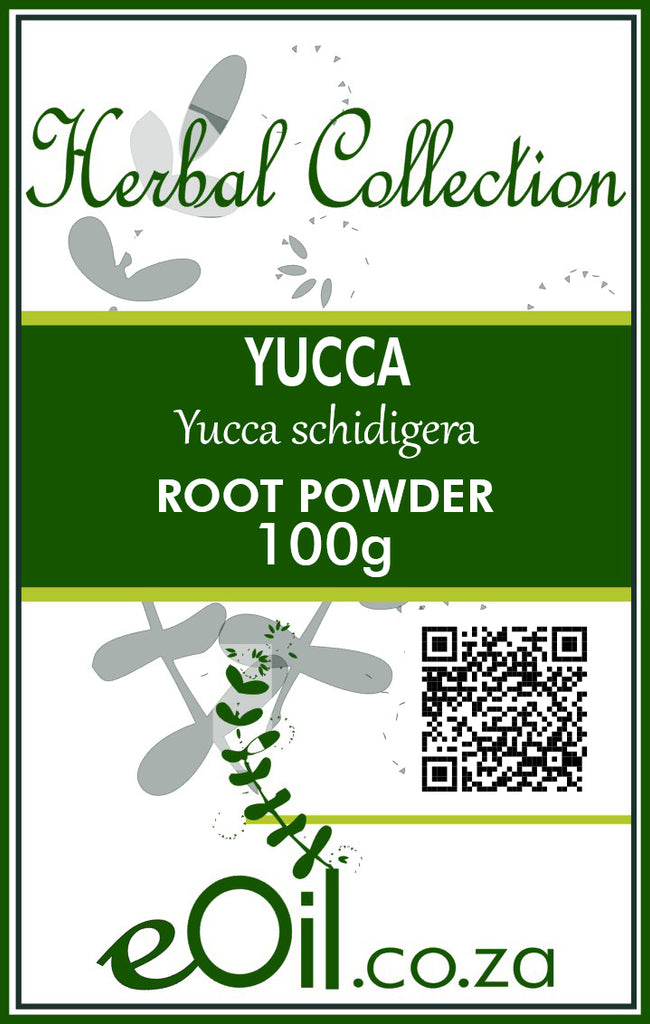 Yucca Root Powder - 100 g - Herbal Collection - eOil.co.za