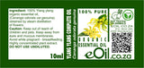 EXOTIC CUISINE KITCHEN PACK - eOil.co.za