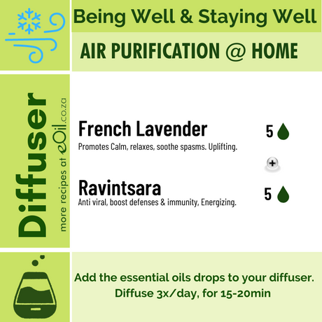 Diffusion recipe - Being well - Air Purification Home - eOil.co.za