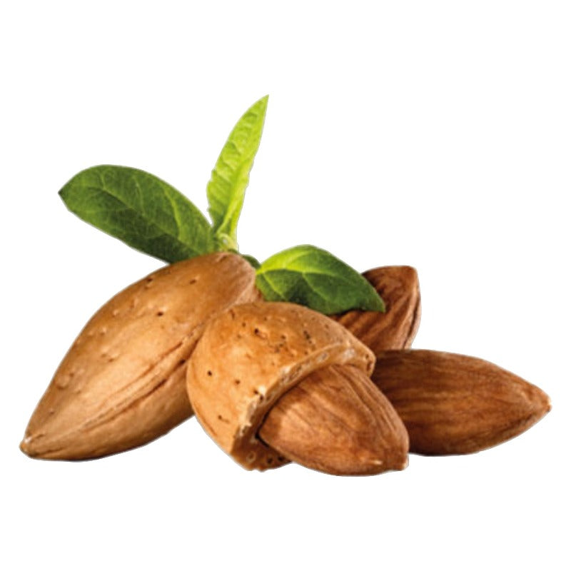 Almond Sweet Natural Carrier Oil - 100 ml - eOil.co.za