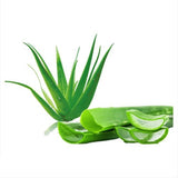 ALOE VERA LIQUID 1:1 (Aloe barbadensis) 100 ml - eOil.co.za