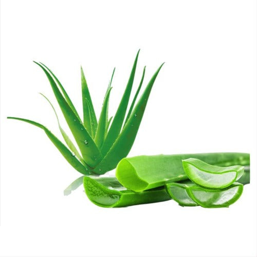 ALOE VERA LIQUID 1:1 (Aloe barbadensis) 100 ml - eOil.co.za