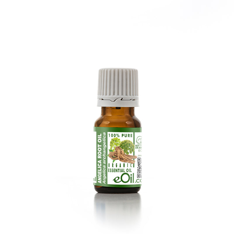 Angelica Root Organic Essential oil (Angelica Archangelica) - 10 ml - eOil.co.za