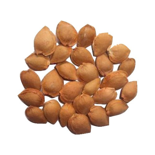 APRICOT KERNEL FINE GROUND POWDER (Prunus ameniaca) ACTIVE INGREDIENT 50 ml - eOil.co.za