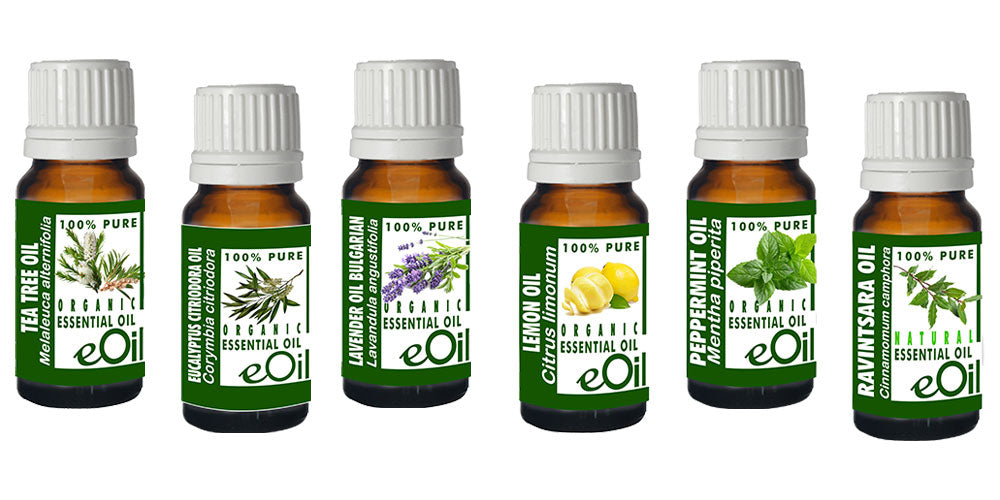 ESSENTIAL BEGINNER'S ASSORTMENT - eOil.co.za