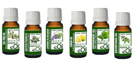 ESSENTIAL BEGINNER'S ASSORTMENT - eOil.co.za