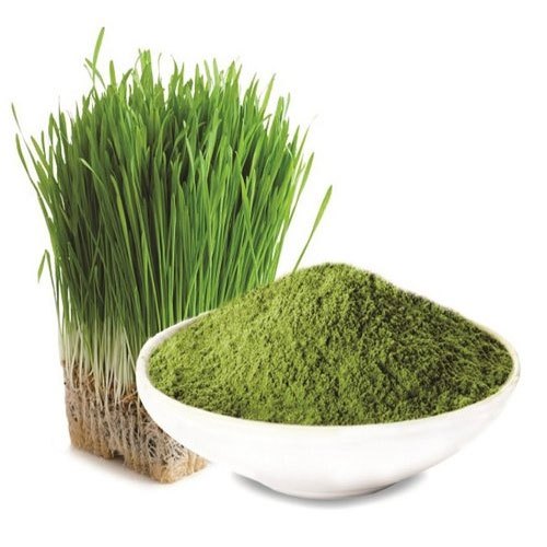 Barley Grass/Green Powder - 100 g- Herbal Collection - eOil.co.za
