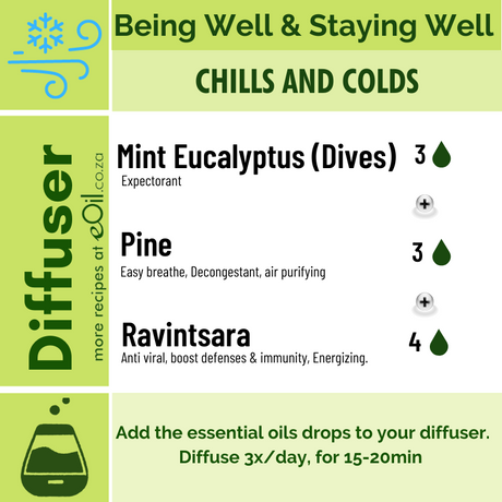 Diffusion Recipe - Being well - Chills & Colds - eOil.co.za