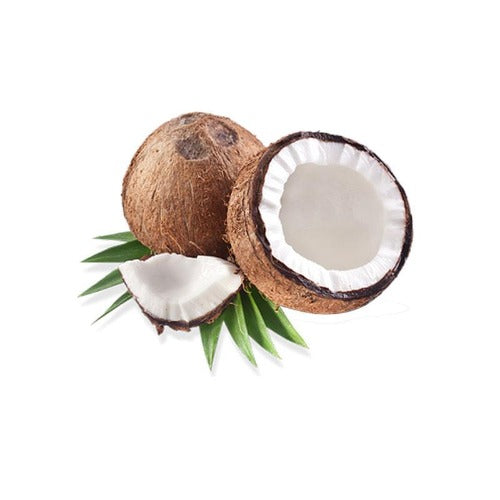 Coconut oil Deodorized carrier oils 100 ml - eOil.co.za