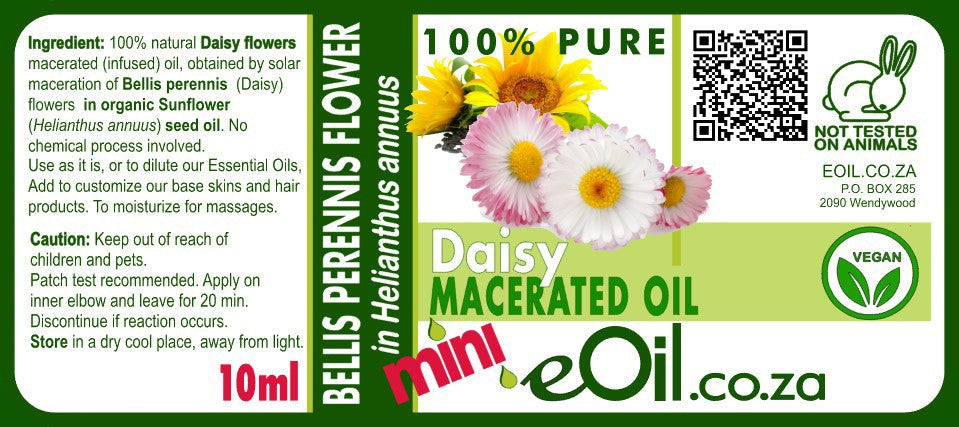 Daisy Flower Macerated Oil Organic - 100 ml - eOil.co.za