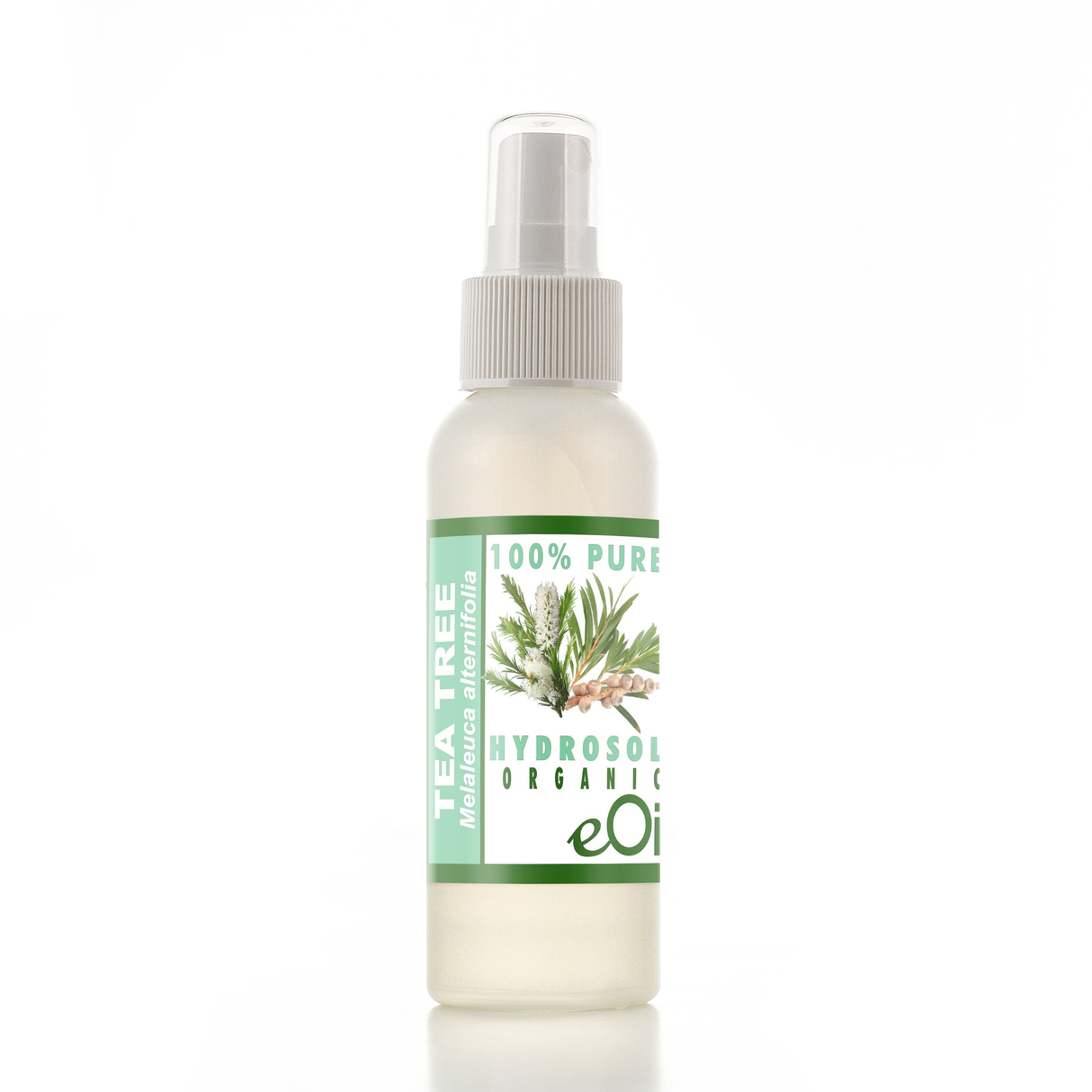 Tea Tree Hydrosol Organic Floral Water - 100 ml - eOil.co.za