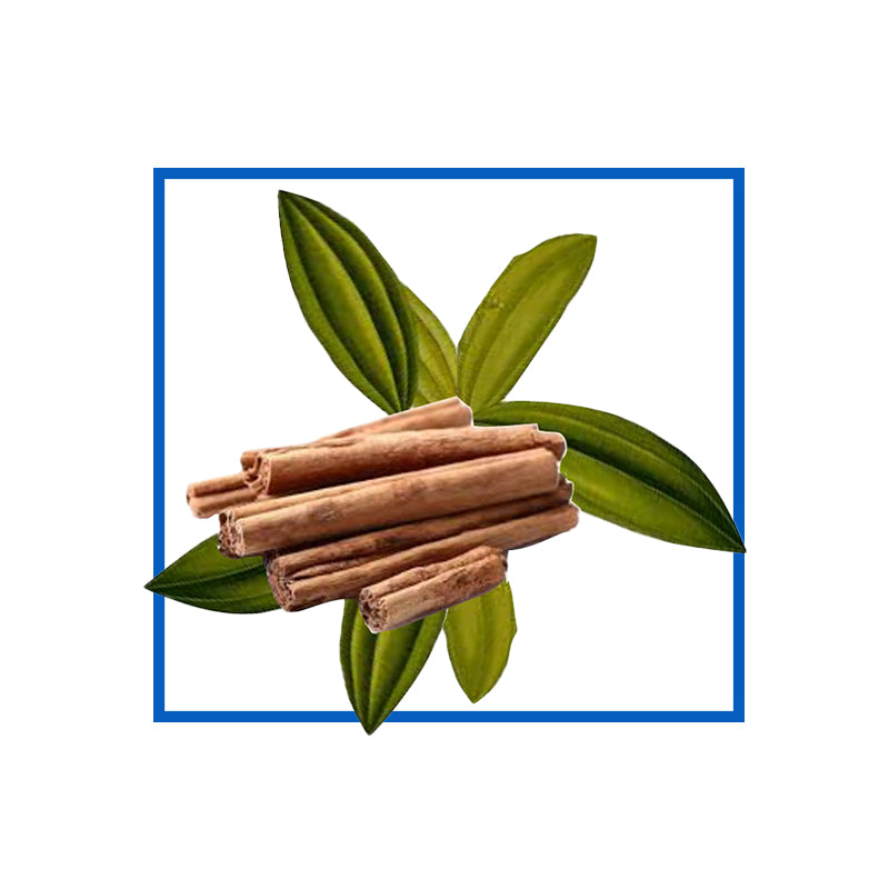 eOil.co.za cinnamon fragrance oil Perfumes, • Natural soaps, face wash, shower gels • Bath salts, scented baths • Natural body oil, creams, lotions, scented gels • After-shampoos, hair masks, hair sprays, • Home fragrance, Room spray, linen spray, candles • For skin applications, cosmetic uses, perfumes…