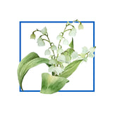 Lily of the valley Natural Fragrance Oils 10 ml - eOil.co.za