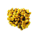 HELICHRYSUM BRACTIEFERUM NATURAL ESSENTIAL OIL (Helichrysum bractieferum) 10 ml - eOil.co.za